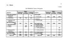 Biznesa plāns 'Biznesa plāns', 25.