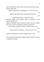 Biznesa plāns 'Biznesa plāns', 28.