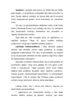 Konspekts 'Liberālisma izcelsme un galvenās idejas', 2.