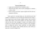 Prakses atskaite 'SIA "JAPĪ"', 6.