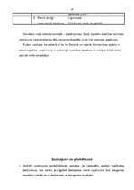 Prakses atskaite 'SIA "JAPĪ"', 19.