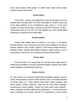 Referāts 'Dekoratīvas formas', 5.