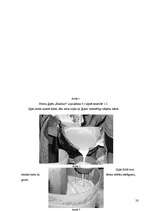 Referāts 'Dekoratīvas formas', 28.