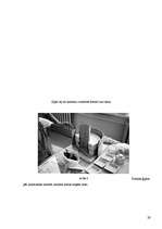 Referāts 'Dekoratīvas formas', 29.