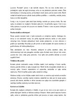 Konspekts 'Latviešu tautas pasakas “Kurbads” analīze', 9.