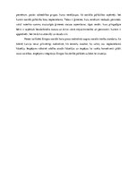 Eseja 'Sociālās tiesības', 4.