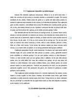 Biznesa plāns 'Biznesa plāns restorānam', 8.