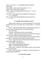 Biznesa plāns 'Biznesa plāns restorānam', 12.