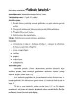 Konspekts 'Orientēšanās plaknē, telpā un laikā. Apmācība vecākā pirmsskolas vecuma bērniem', 5.