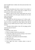 Konspekts 'Orientēšanās plaknē, telpā un laikā. Apmācība vecākā pirmsskolas vecuma bērniem', 23.