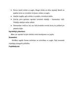 Konspekts 'Orientēšanās plaknē, telpā un laikā. Apmācība vecākā pirmsskolas vecuma bērniem', 24.