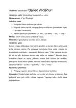 Konspekts 'Orientēšanās plaknē, telpā un laikā. Apmācība vecākā pirmsskolas vecuma bērniem', 28.