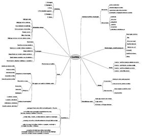 Konspekts 'Konfliktu domu karte', 1.