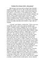 Eseja 'Problēma Noras Ikstenas darbā "Irbju pļaviņa"', 1.