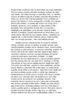 Eseja 'Problēma Noras Ikstenas darbā "Irbju pļaviņa"', 2.