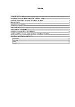 Referāts 'Tūrisma produkts Kuldīgā', 2.