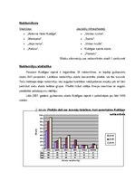 Referāts 'Tūrisma produkts Kuldīgā', 9.
