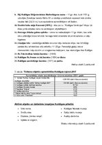 Referāts 'Tūrisma produkts Kuldīgā', 11.