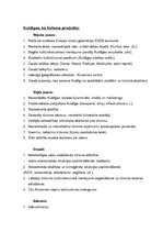 Referāts 'Tūrisma produkts Kuldīgā', 12.