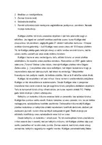 Referāts 'Tūrisma produkts Kuldīgā', 13.