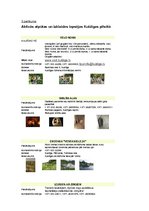 Referāts 'Tūrisma produkts Kuldīgā', 20.