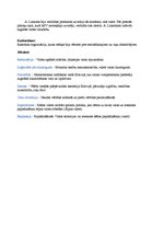 Konspekts 'Vēstures pēdējais kontroldarbs', 3.