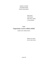 Eseja 'Uzņēmums, kurā es gribētu strādāt', 1.