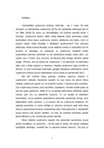 Eseja 'Uzņēmums, kurā es gribētu strādāt', 5.