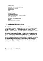 Konspekts 'Patstāvīgais darbs par A.Upīša noveli "Rožu slepkava" 1.daļa', 2.