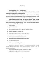 Diplomdarbs 'SIA "X" attīstības stratēģija', 3.