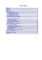 Diplomdarbs 'SIA "X" attīstības stratēģija', 5.