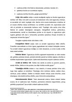 Diplomdarbs 'SIA "X" attīstības stratēģija', 11.