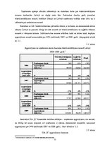 Diplomdarbs 'SIA "X" attīstības stratēģija', 32.