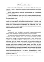 Referāts 'Tūrisms Alūksnes rajonā', 3.