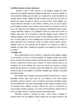 Referāts 'Konflikta situācijas analīze', 2.