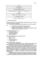 Konspekts 'Tiesības', 26.