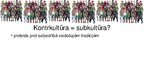 Prezentācija 'Subkultūras', 4.