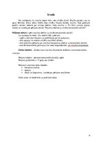 Referāts 'Mūzikas ietekme uz cilvēka emocionālo stāvokli', 6.