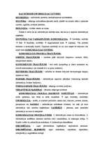 Konspekts 'Tirgvedības komunikācijas', 4.