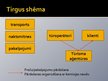 Prezentācija 'Tūrisma sektora raksturojums', 3.