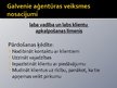 Prezentācija 'Tūrisma sektora raksturojums', 8.