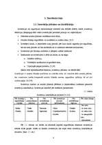 Referāts 'Investīciju projektu analizēšana', 4.