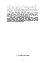 Referāts 'Šūnas dzīves cikls. Mitoze', 3.