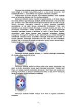 Referāts 'Šūnas dzīves cikls. Mitoze', 6.