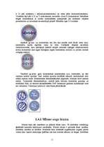 Referāts 'Šūnas dzīves cikls. Mitoze', 11.