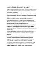 Konspekts 'Lietvedība', 2.