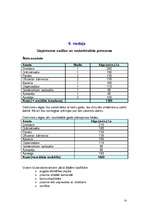 Biznesa plāns 'I/U "Daugavas loki"', 13.