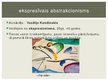 Prezentācija 'Abstrakcionisms', 3.