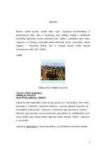 Referāts 'Nedēļas nogale Pravčicka Brana, Čehijā', 3.