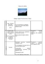 Referāts 'Nedēļas nogale Pravčicka Brana, Čehijā', 4.